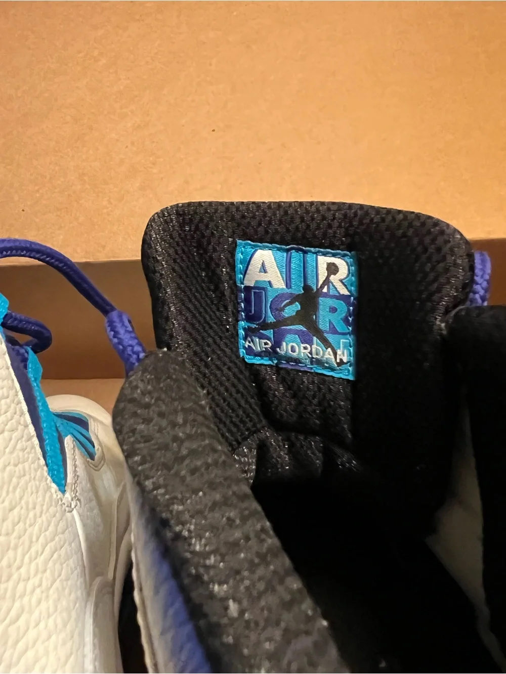 Nike Jordan 10 City Edition-Charlotte Hornets Mens 13